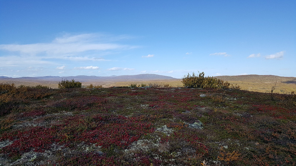 Nordre Vågskardsfjellet mot Ongsjøfjellet og Nordre Suluhø