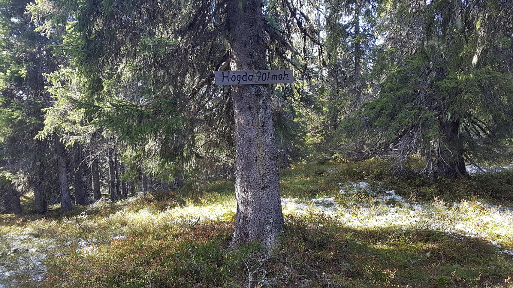 Storseterhøgda