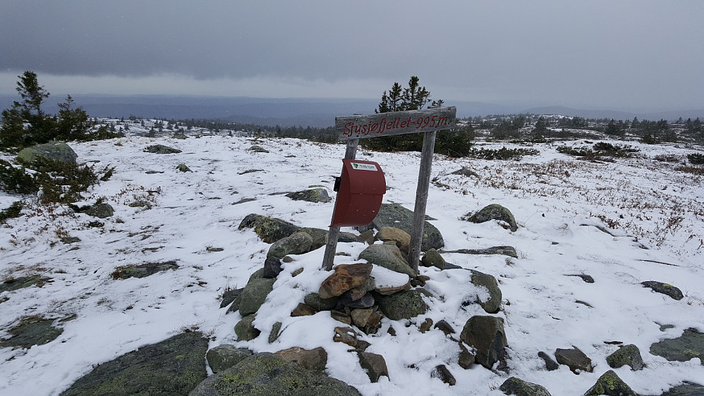 Sjusjøfjellet, toppboka her var bare ei bløt lefse