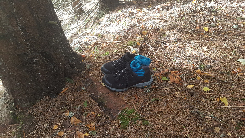 Hvem er det som har gått av seg skoene sine i Vardkampråket et stykke opp for Rpåker? Pål Aril hadde møtt en barfot kar ved Vardkampen for noen dager siden.