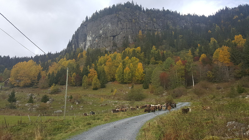 Mot Kråbøls-Hammerberget.