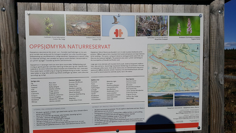 Infotavle om Oppsjømyra naturreservat der jeg parkerte