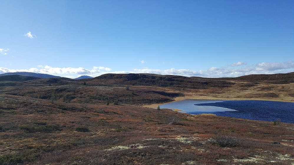 Fra Lauvlihøgda, mot Butjernet, Djuptjernskampen idet fjerne