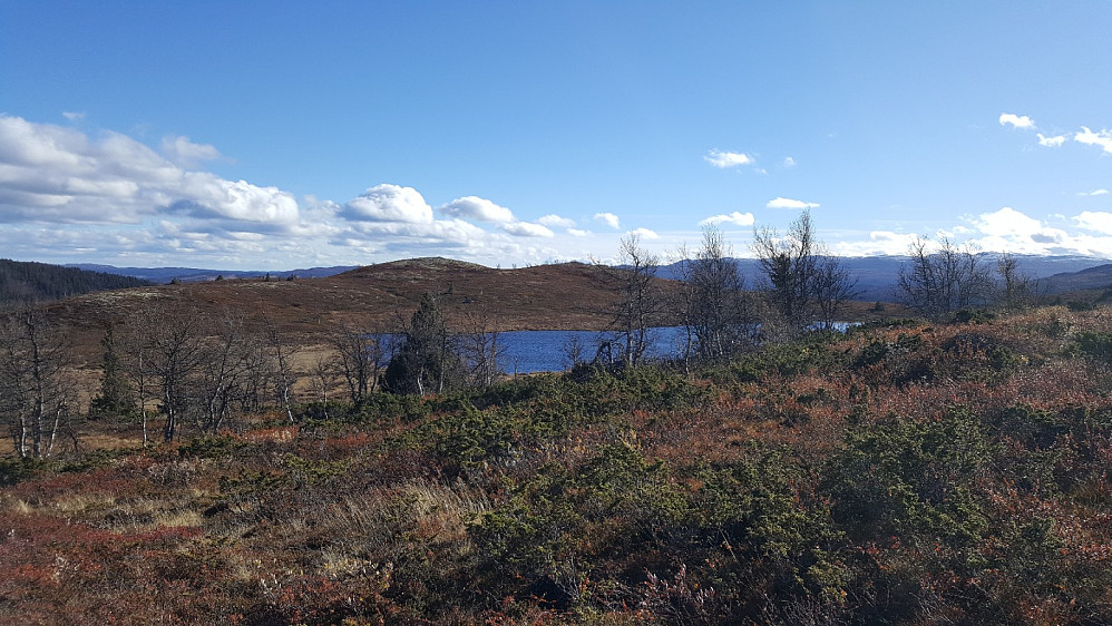 Butjernet og Lauvlihøgda