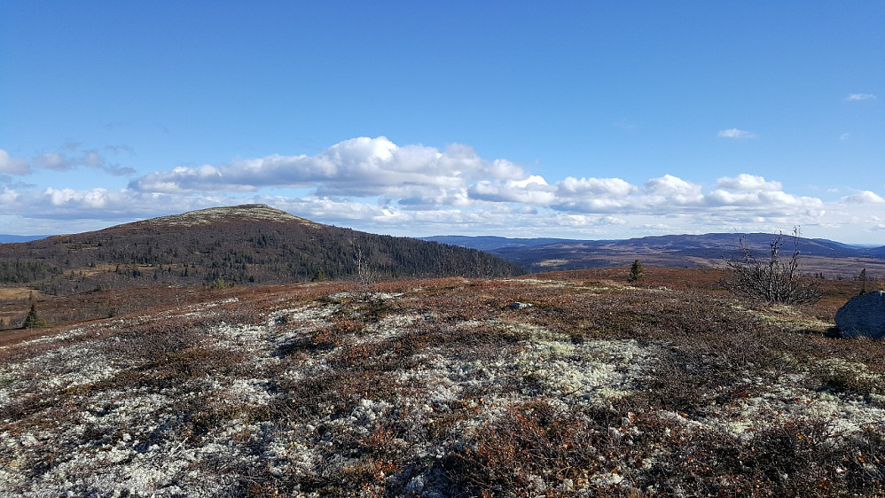 Lauvlihøgda, mot Ormtjernskampen