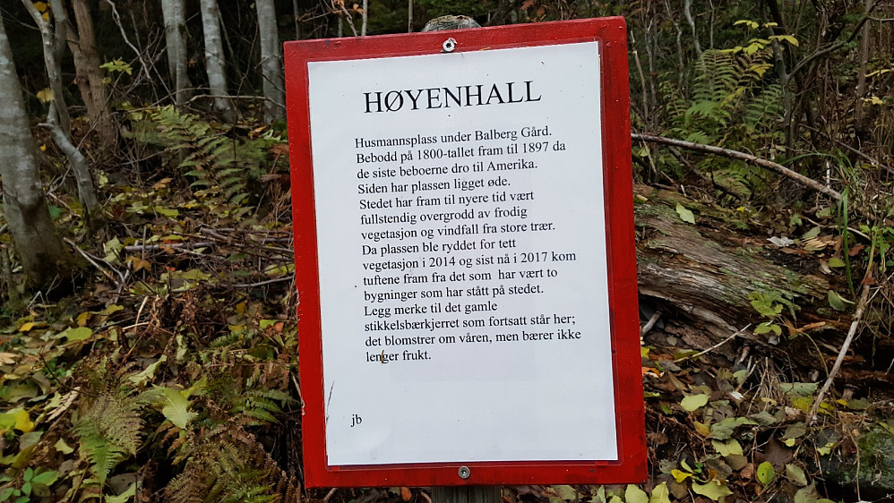 Høyenhall