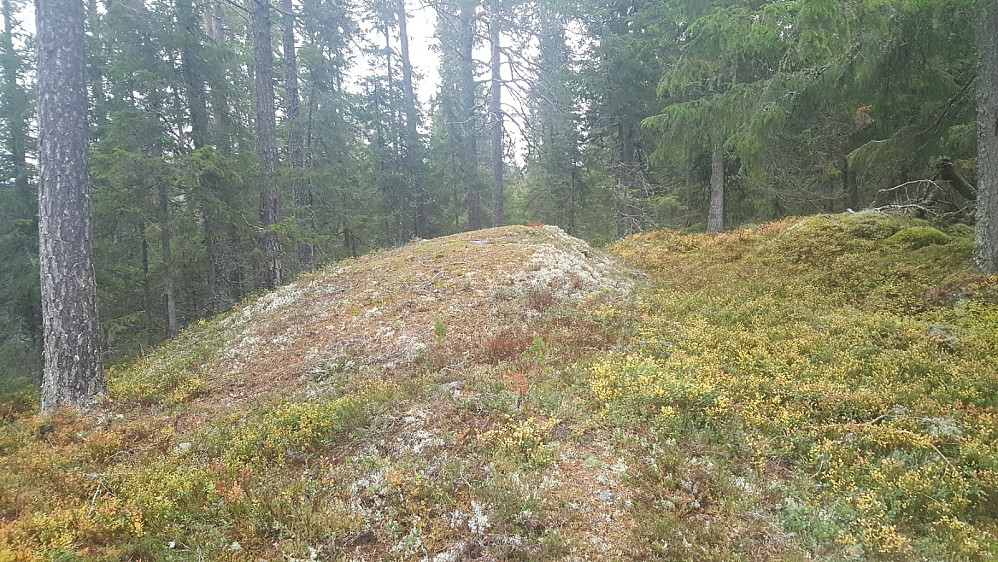 Rundhaugen