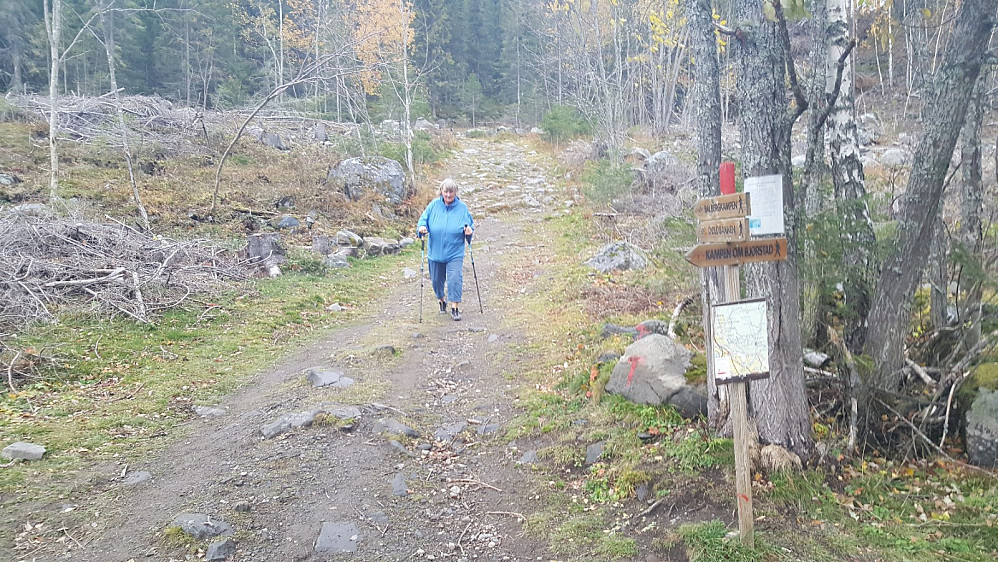Sigrid nesten ned igjen ved bilen i Balbergskaret