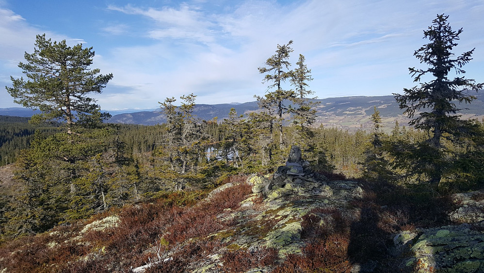 Hokneknappen, utsikt nordover