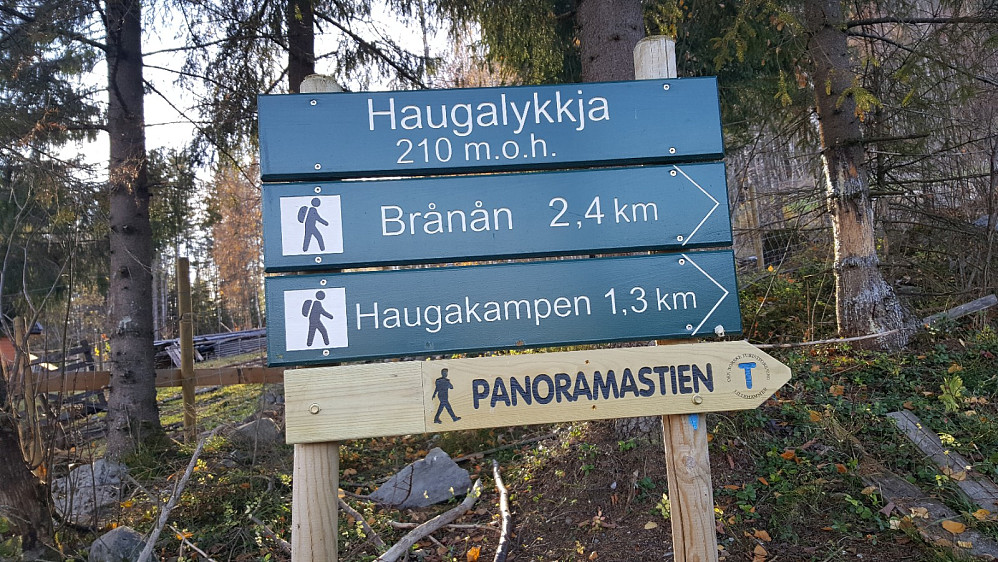 Infotavle ved Haugalykkja