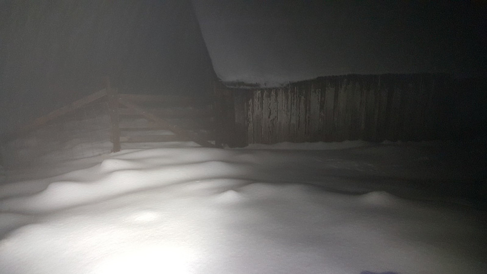 På Rindåsen
