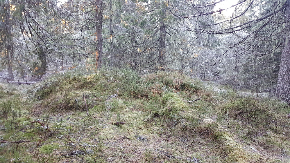 Vesleseterhøgda
