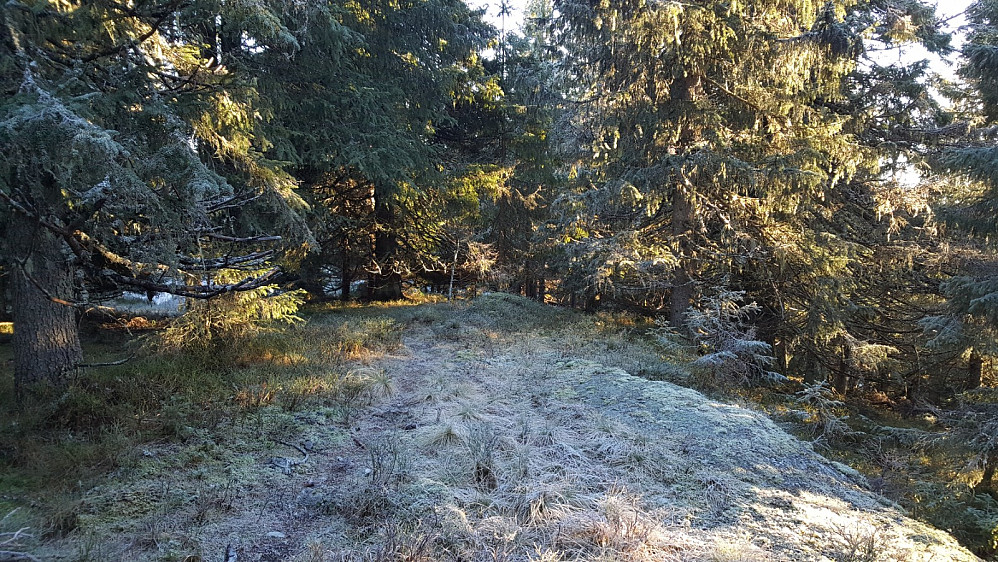 Raudmyra punkt 814 moh