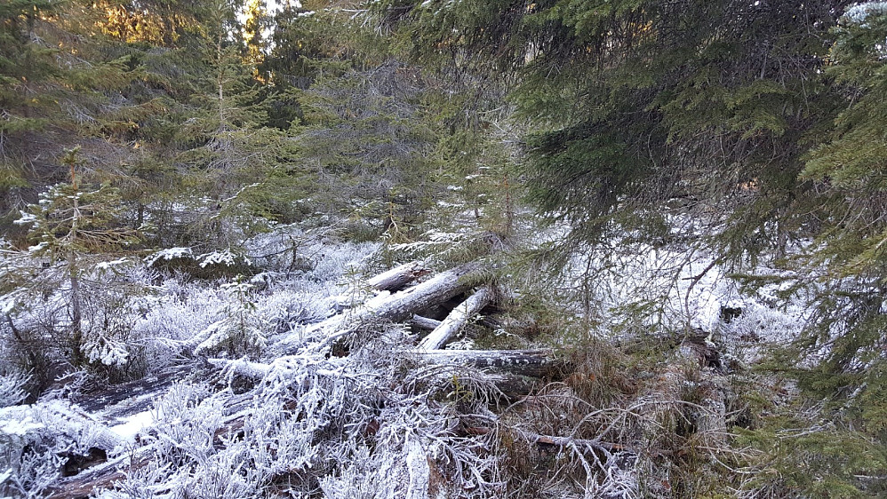 På Sjogehaugen, her har stått et tårn