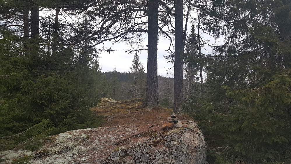 Evenvoldkollanes toppunkt
