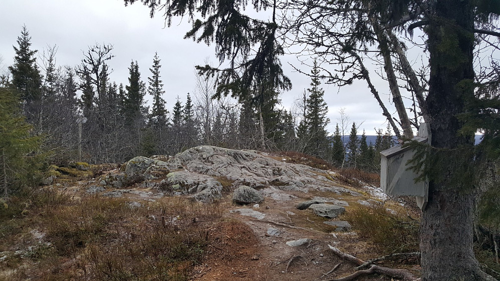 Vardkampen