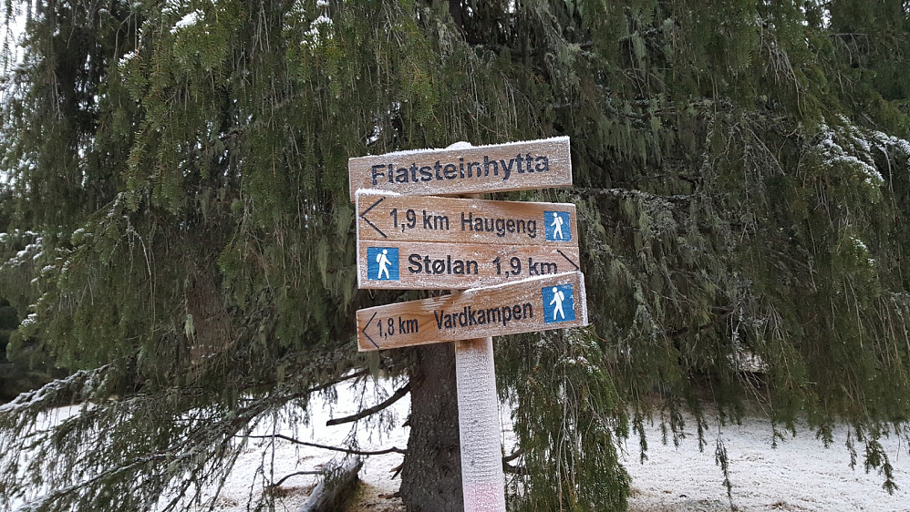 Ved Flatsteinhytta