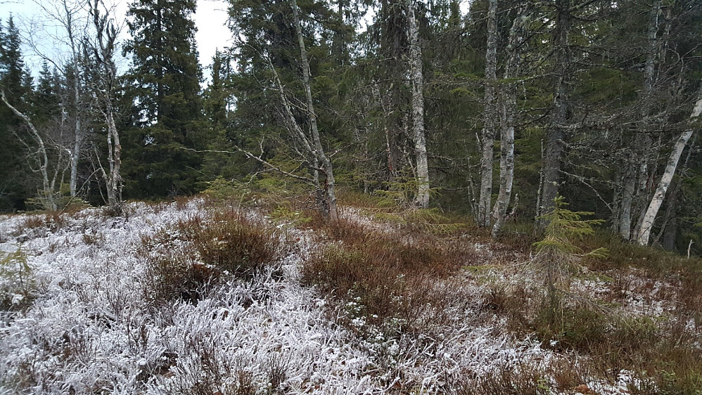 Søraust for Kleivmyra