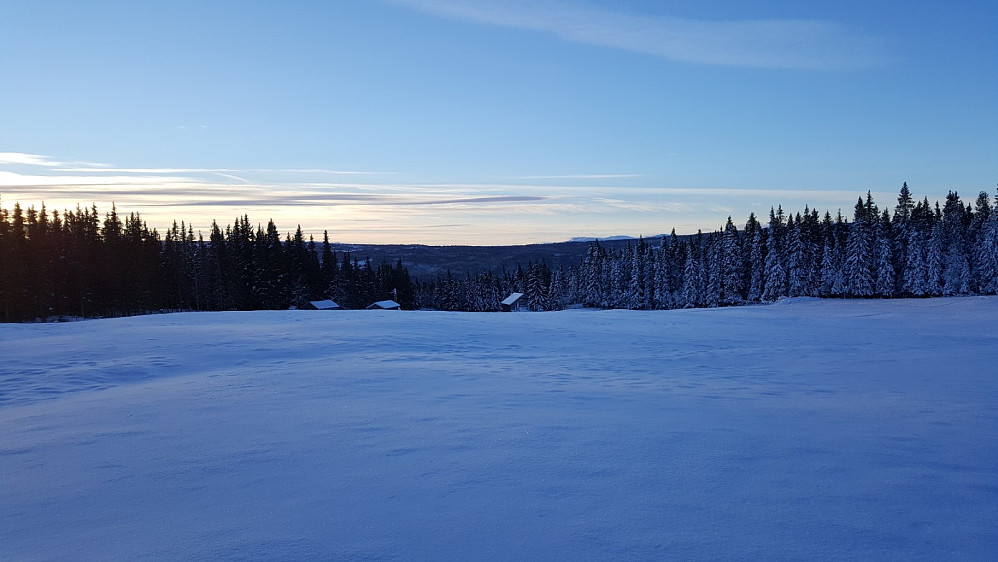 Øvsthågåringen