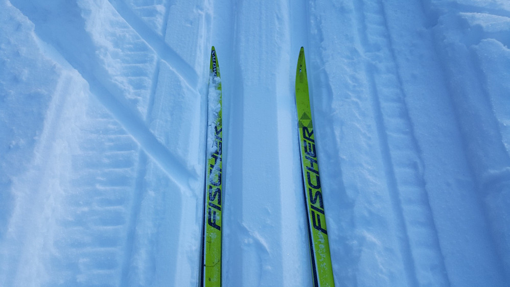 Mine Fischer ski