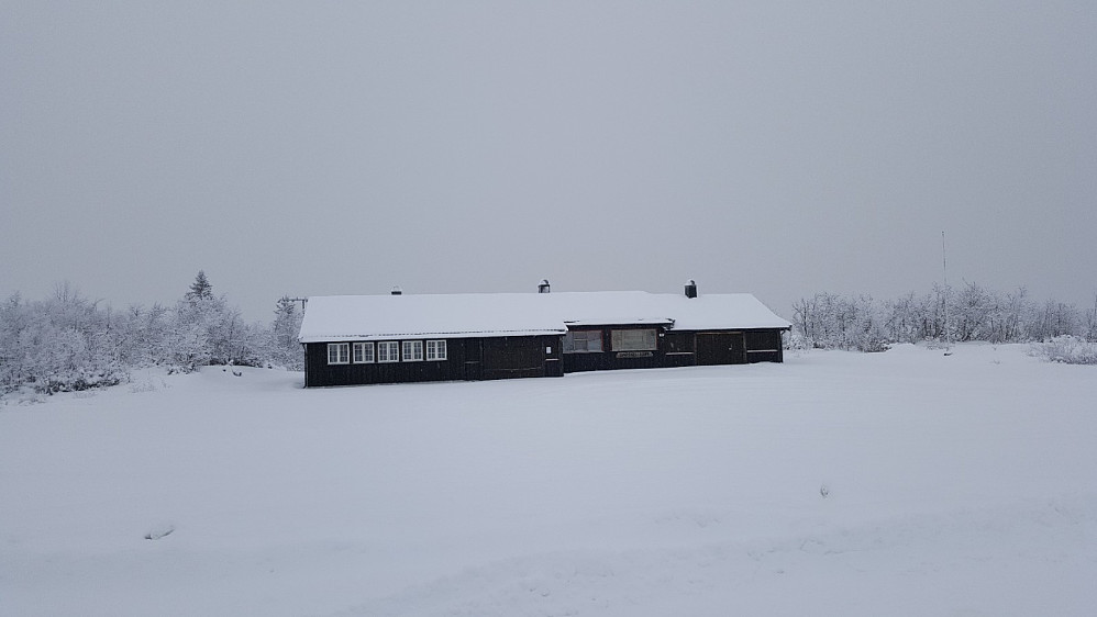 Værskei