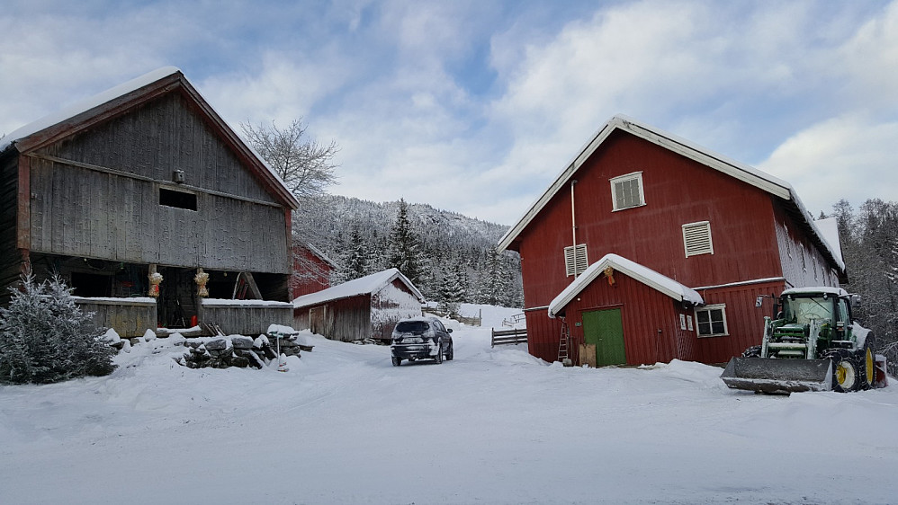 Nygaard