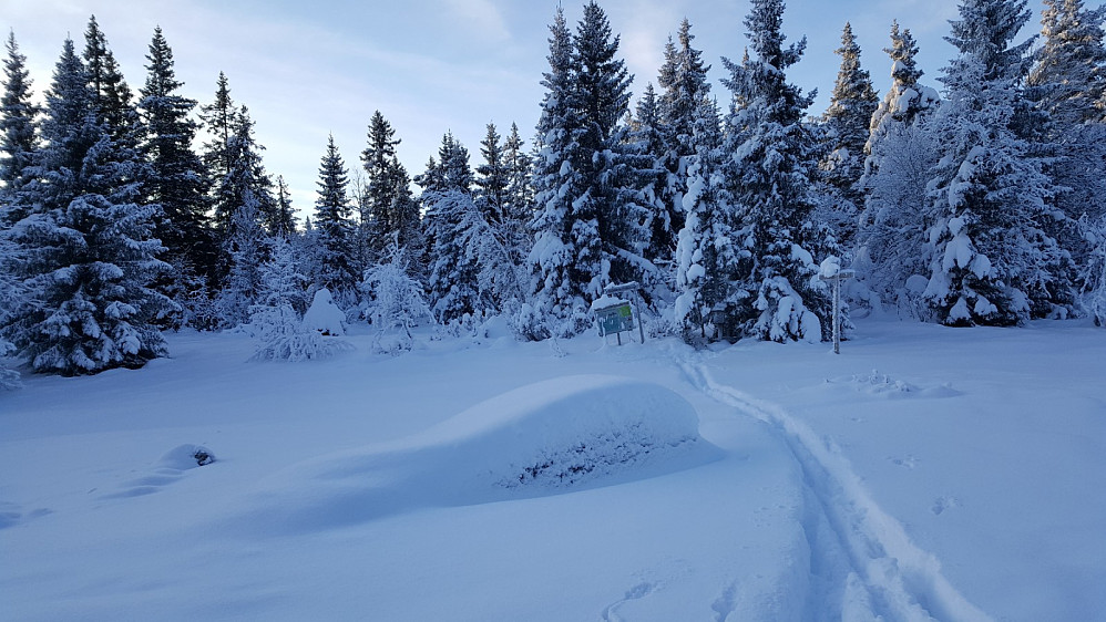 Klininggrautsteinen