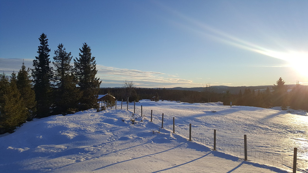 På Rindåsen