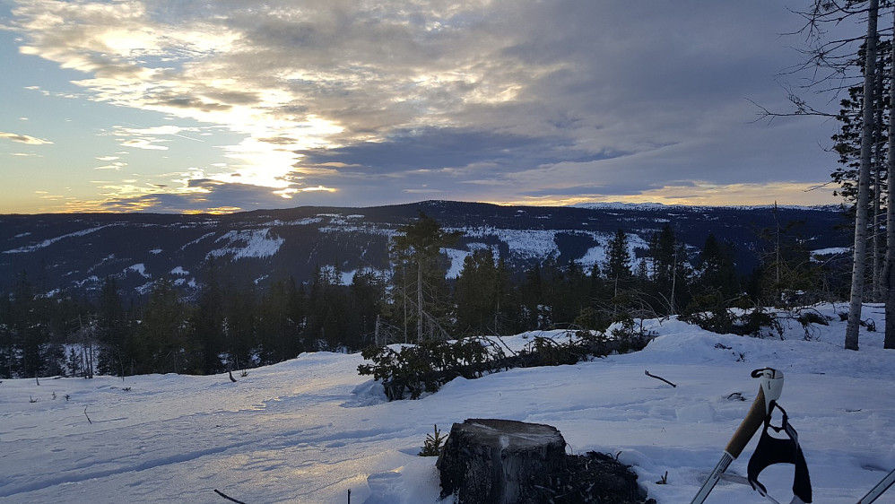 Finsrudbekkhøgda