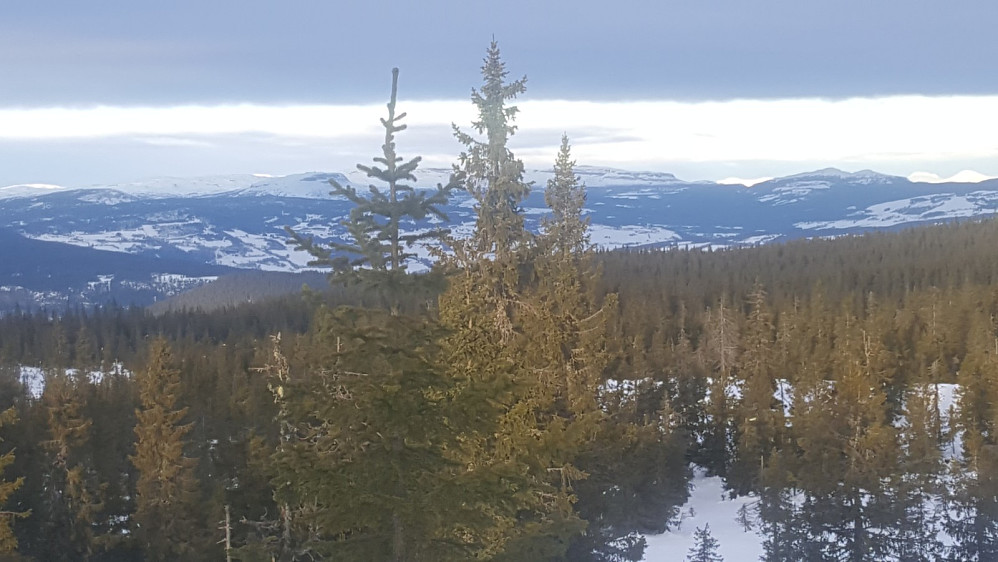 På Rindåsen trigpunkt, mot Skeikampen og Kidliknappen