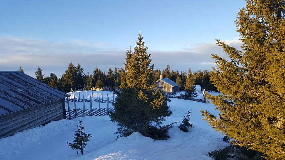 På Rindåsen