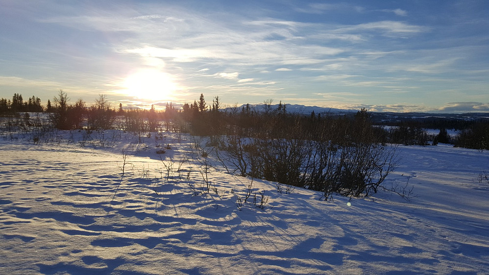Værskei