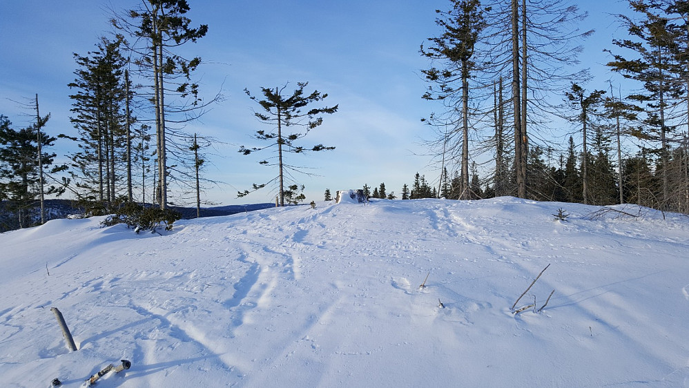 Finsrudbekkhøgda