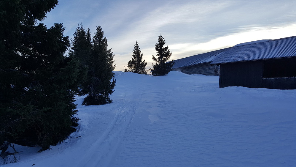 Rindåsen