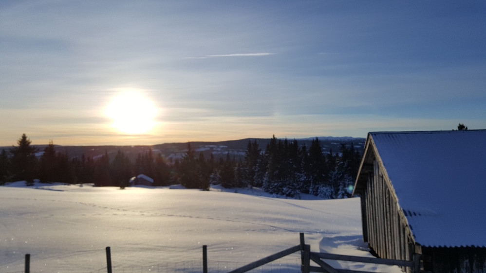 Rindåsen