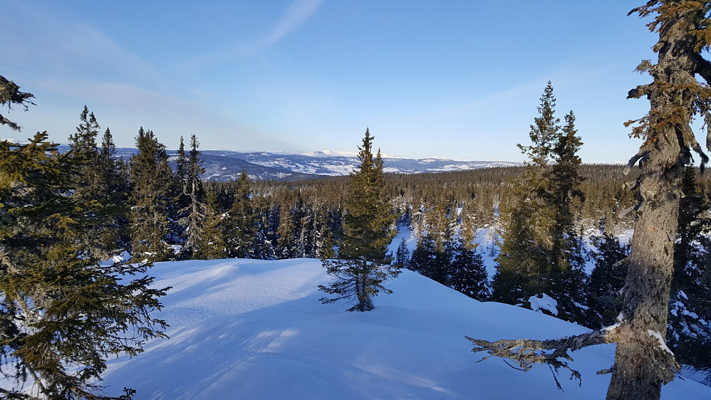 På Rindåsentrigpunkt