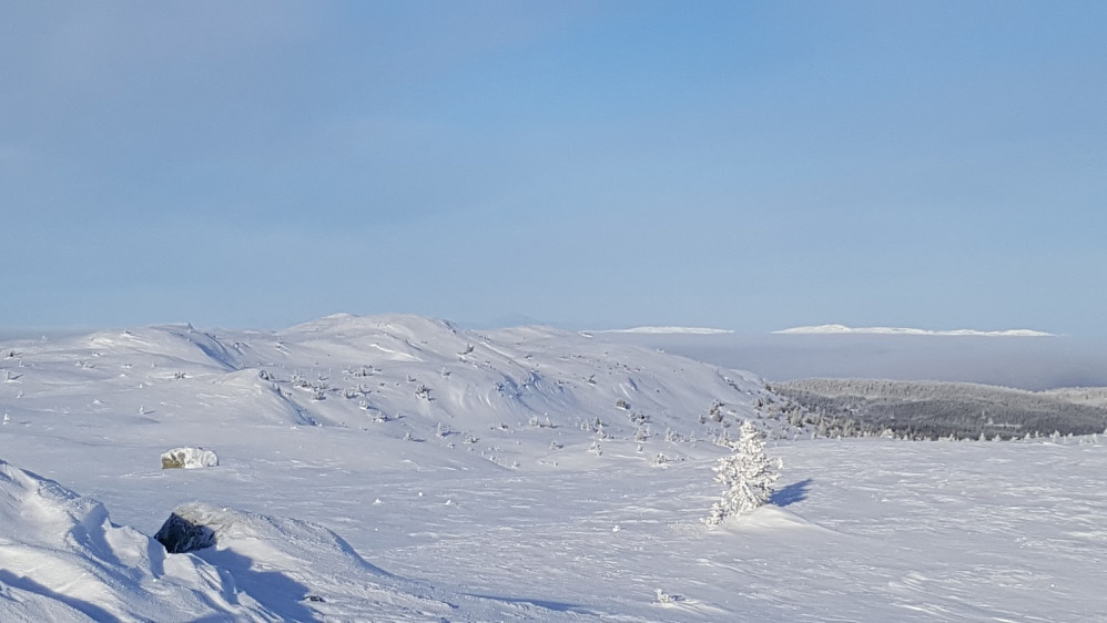 Prestkjerringa, mot Gammelhans, i det fjerne stikker Prestkampen og Bånseterkampene opp over tåkehavet