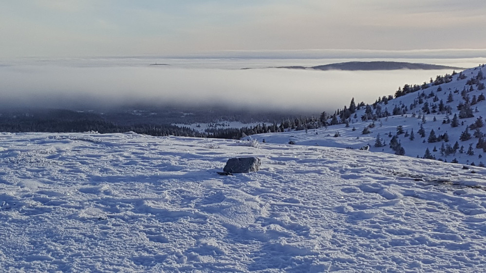Rævskorotjønnhaugen, langt ute i det fjerne stikker masta på Kråkhugukampen opp over tåkehavet