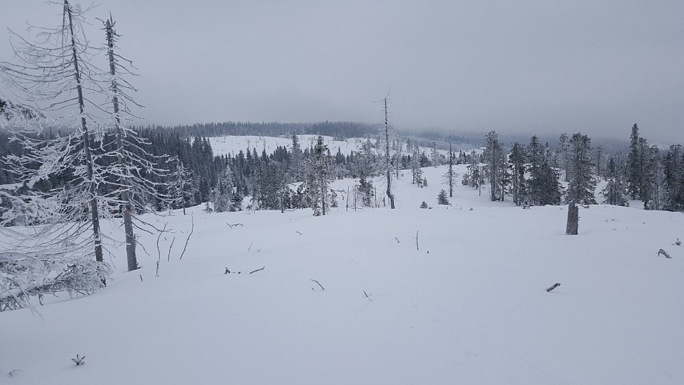 Finsrudbekkhøgda, mot Slettet