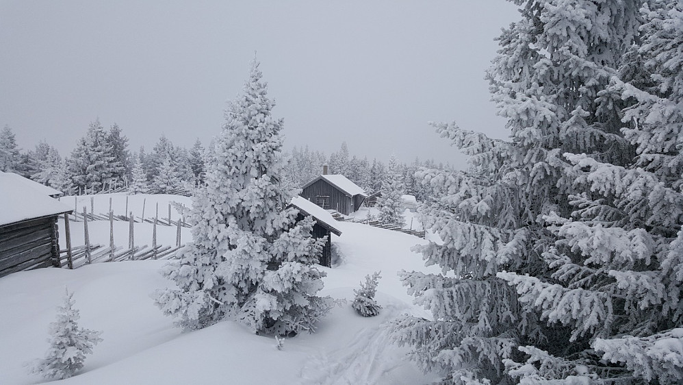 Rindåsen
