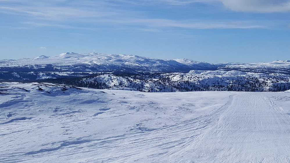 Mot Synnfjell fra Prestkjerringa