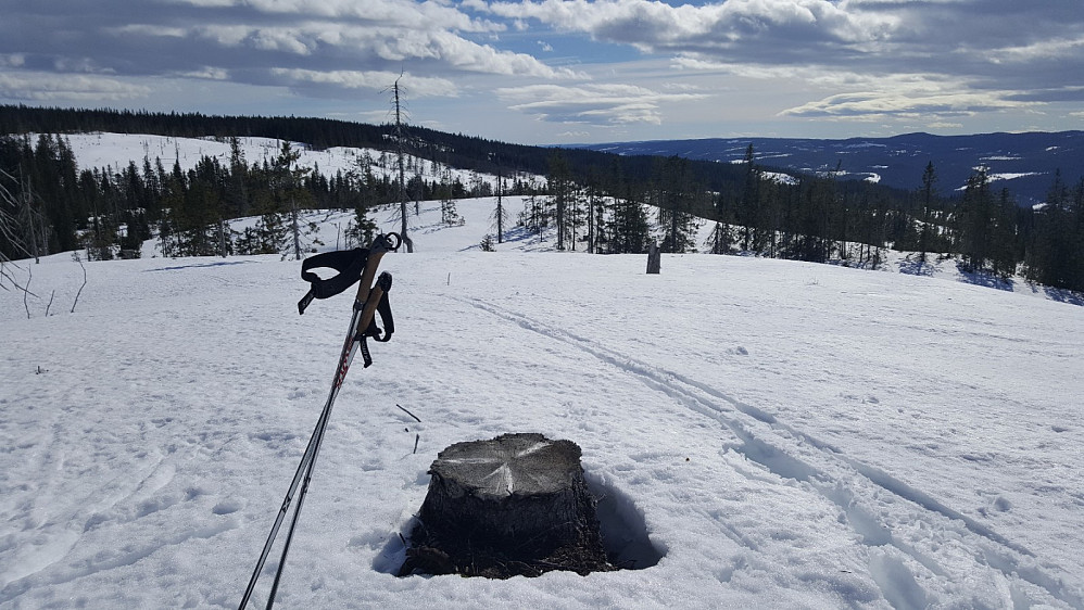 Finsrudbekkhøgda