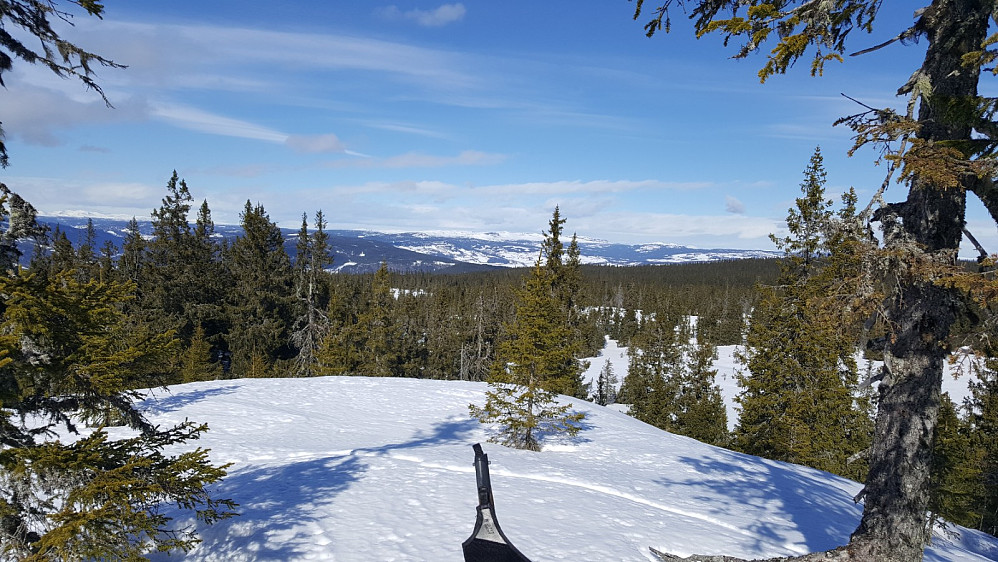 Rindåsen trigpunkt