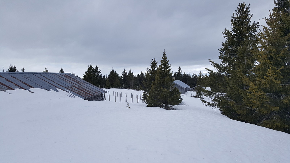 Rindåsen