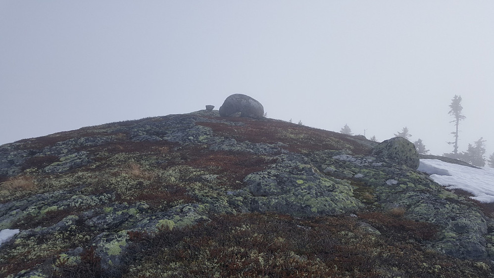 Torpevassfjellets toppunkt