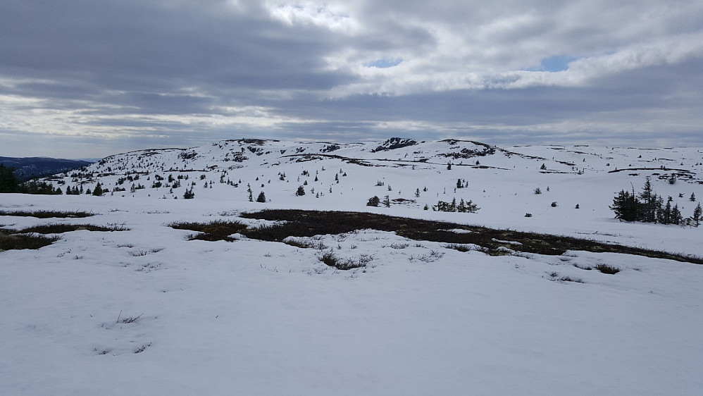 På Flugstadfjellet