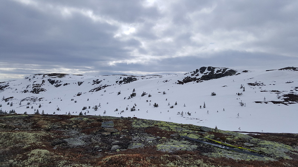 Rævskorotjønnhaugen, mot Prestkjerringamassivet