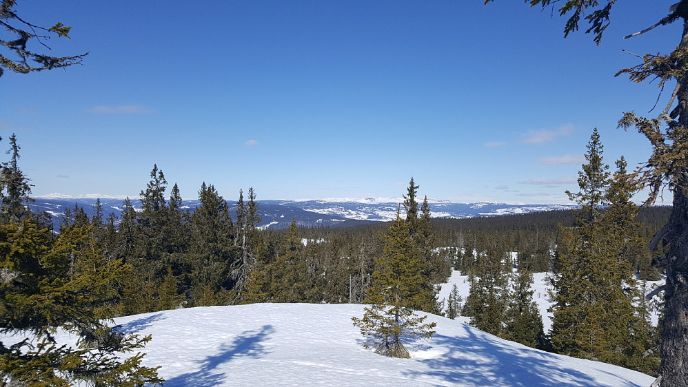 På Rindåsen trigpunkt