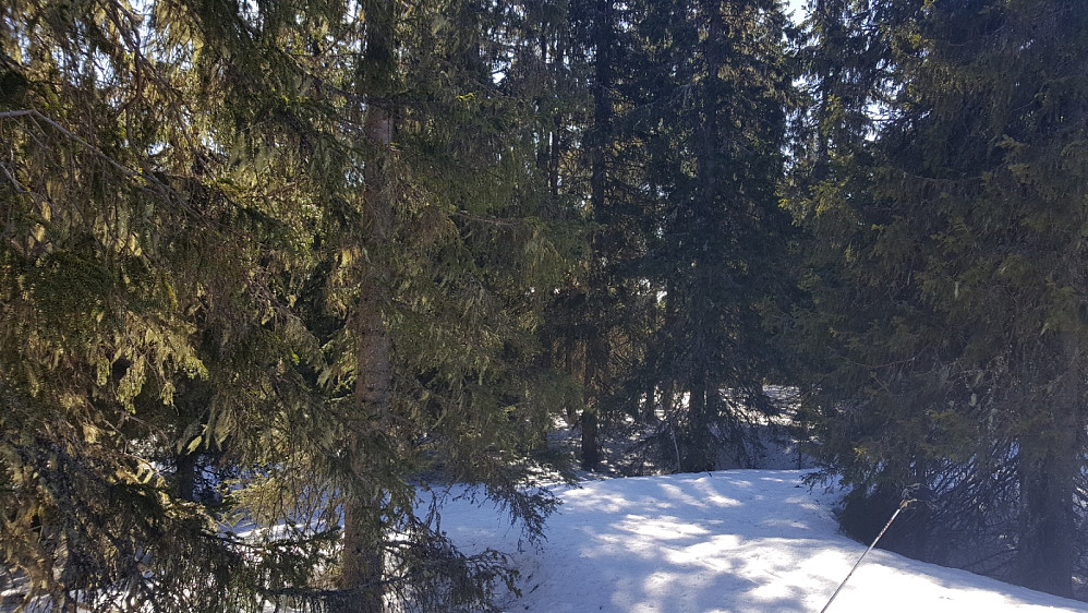 På Kinnkjølen