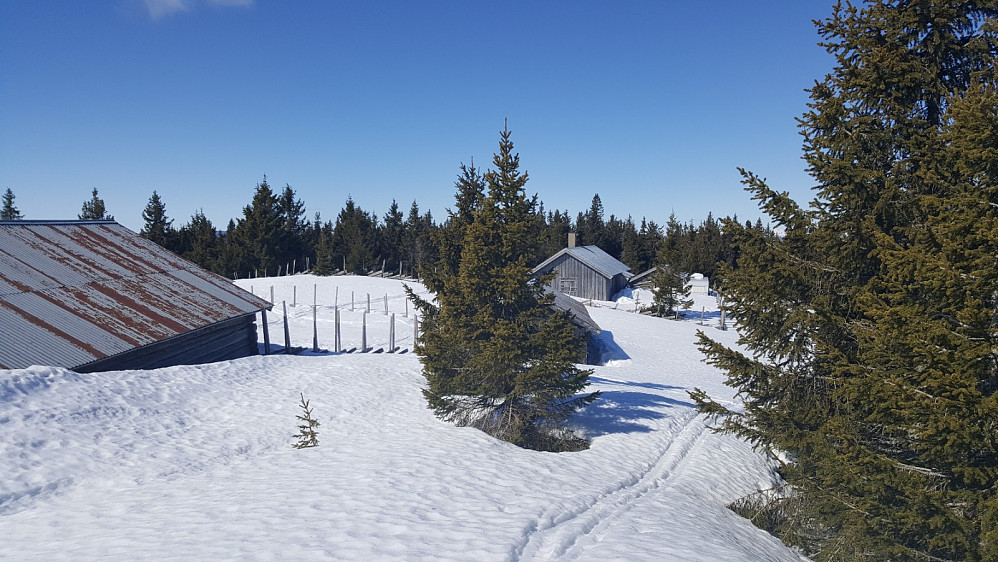 Rindåsen